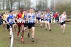 Mens under-17s, 2020 British Athletics Inter Counties Cross Country Champs., Prestwold Hall, Loughborough. Photo: David T. Hewitson/Sports for All Pics